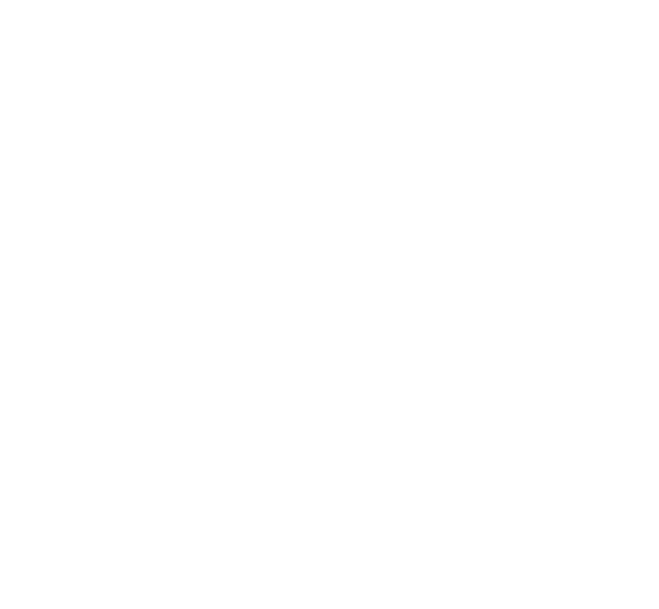 BreathLink